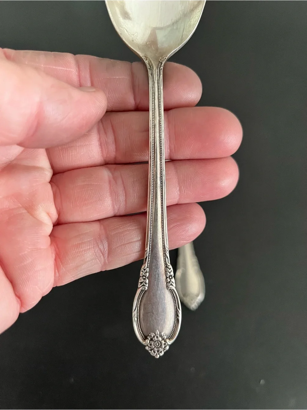 Silver-Color Ornate Serving Spoon and Spreader Set